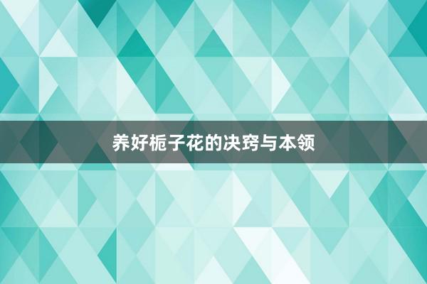 养好栀子花的决窍与本领